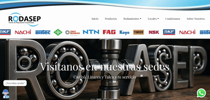 Demo animada del proyecto Rodasep
